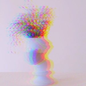 Meet your Posher, Monique